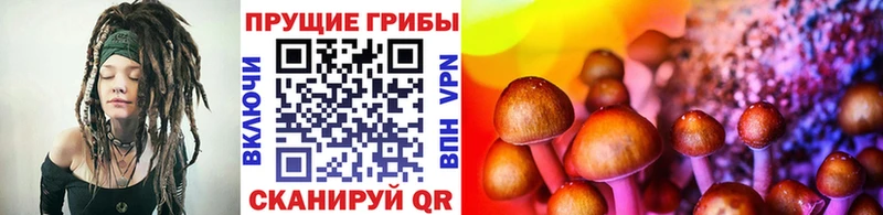 как найти наркотики  kraken   Галлюциногенные грибы MAGIC MUSHROOMS  Буинск 